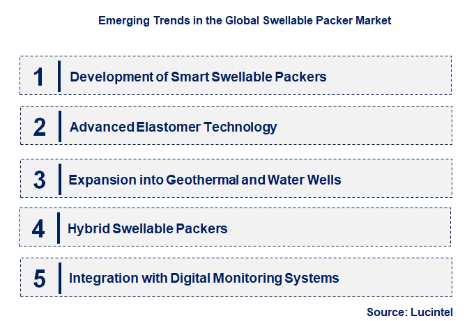 Emerging Trends in the Swellable Packer Market
